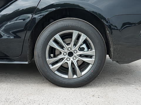 2026�� 2.5L ˫������������