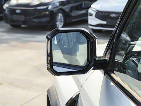 2025�� 520���������