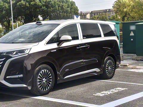 2025�� DM-i ��������