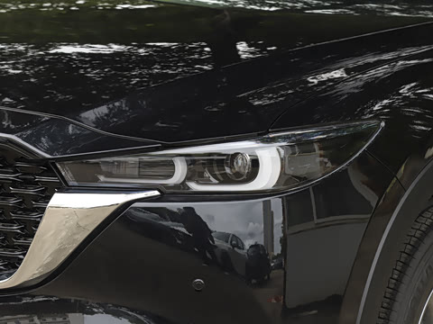 2025�� 2.0L �Զ���������Pro