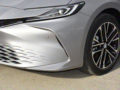 2026�� ˫�� 2.5HG ����