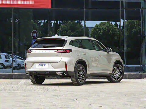 2025�� 300T ������ҹ��