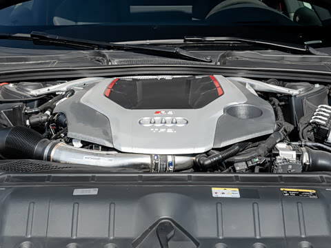 2024�� RS 5 2.9T Sportback ȼ���