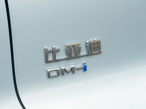 2026�� �ɳ۰� DM-i 220KM��Խ��