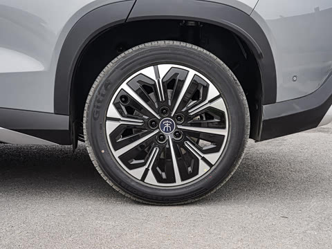 2026�� DM-i 310KM ��Խ��