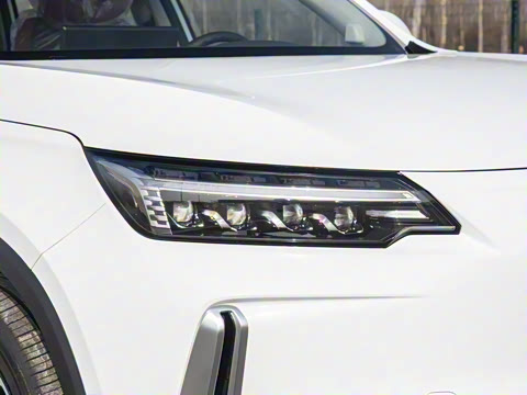 2026�� ��������