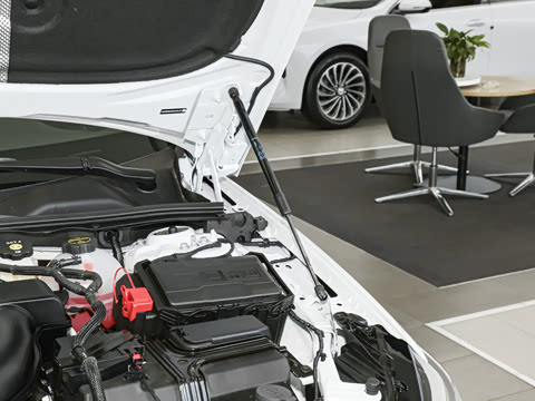 2025�� 28T ������