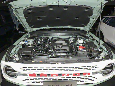 2025�� 2.3T 1966��Ű�