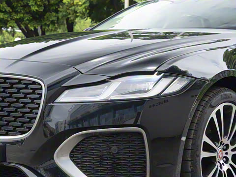 2025�� 2.0T P250 ��������������