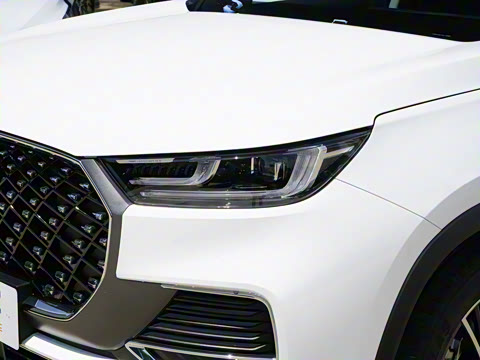 2025�� 290TGDI DCT����� 