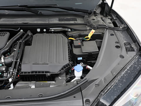 2025�� ��� ����������