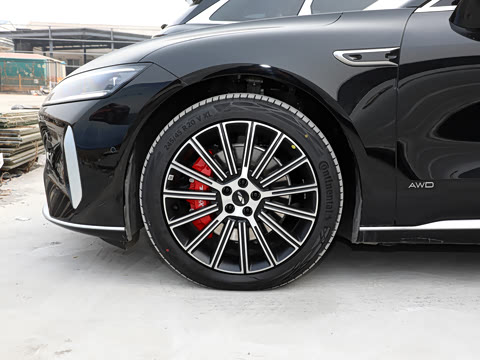 2025�� ��� ����������