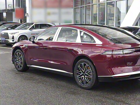 2025�� 260��������������