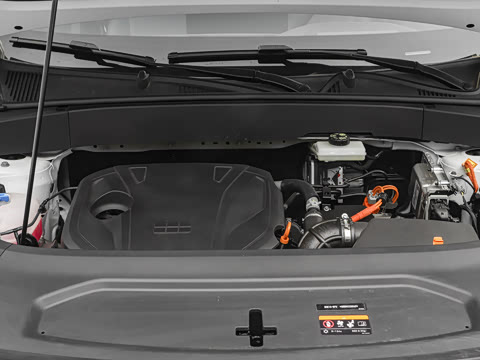 2026�� Զ���� 225km �ǽ���
