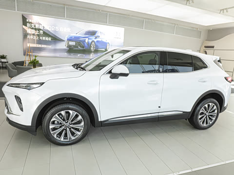 2026�� 25T �����׽��