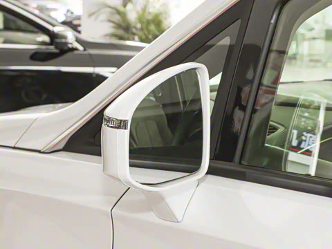 2025�� ½�Ϲ���� ����DG��