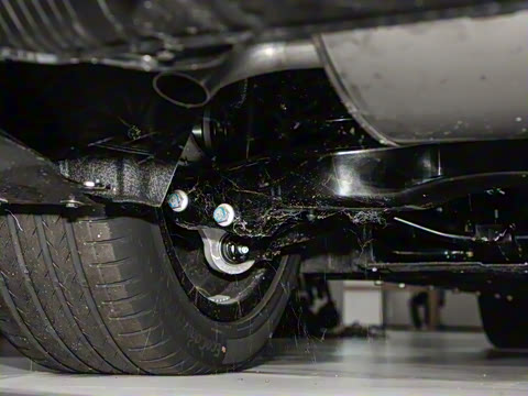 2025�� ���� 230�캽�����