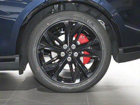 2026�� ����200 Pro�˶���