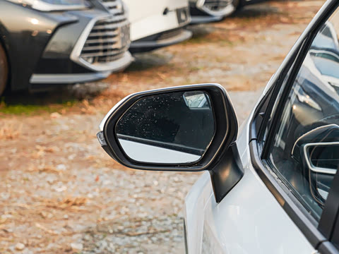 2025�� 1.2T ��Ӣ��