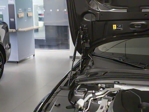 2026�� B5 ���ݺ�����