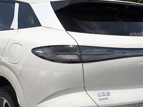 2025�� DM-i 121�캽��