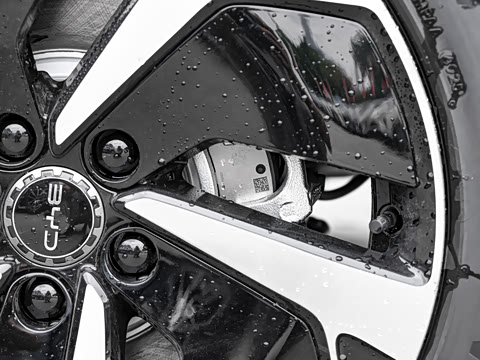 2025�� DM-i 205�캽Pro��