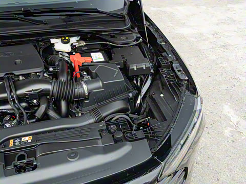 2026  2.0T  EcoBoost  