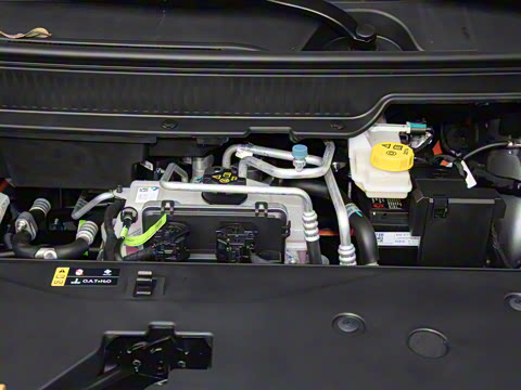 2025�� Plus 610 ������