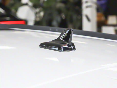 2024��  RS4 Avant ȼ���