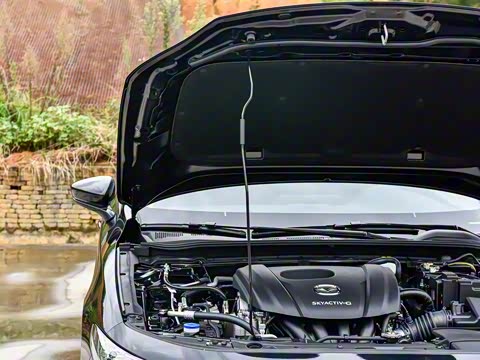 2025�� 1.5L �ֶ�������