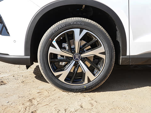 2026�� DM-i 220KM��Խ��