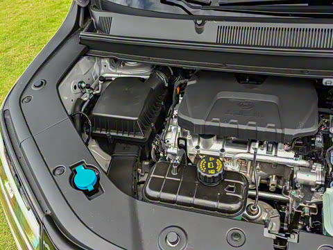 2025�� ��� 125km ������