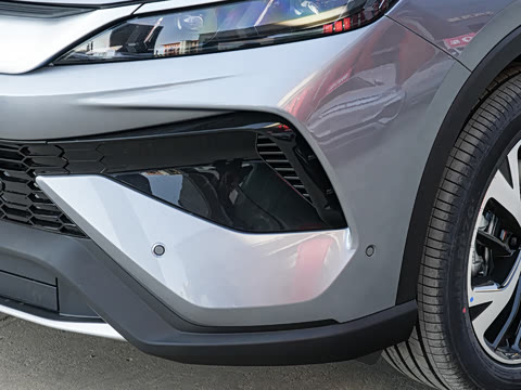 2026�� DM-i 220KM��Խ��