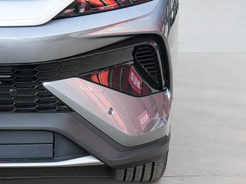 2026�� DM-i 220KM��Խ��