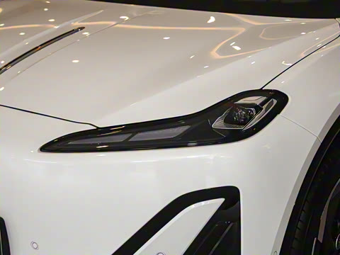 2025�� 520 ��ѡ��