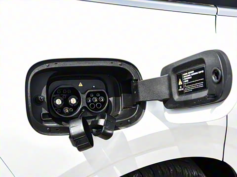 2026�� �����������̰� 310������