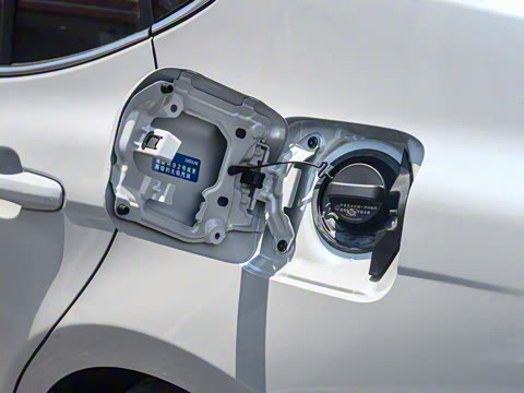 2026�� ˫�� 2.5HXS �˶�Plus��