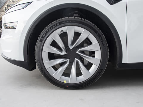 2026�� ����������