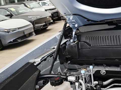 2025�� 205�������ܰ�