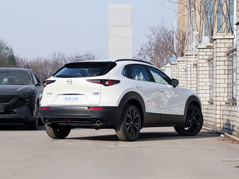 2025�� 2.0L �Զ�������