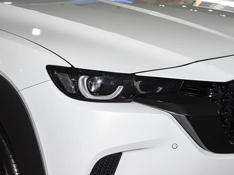 2026�� 2.5L ���а�