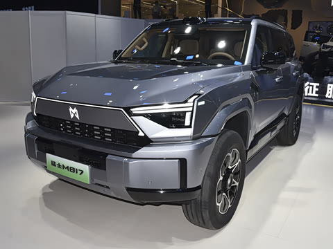 2025�� Max