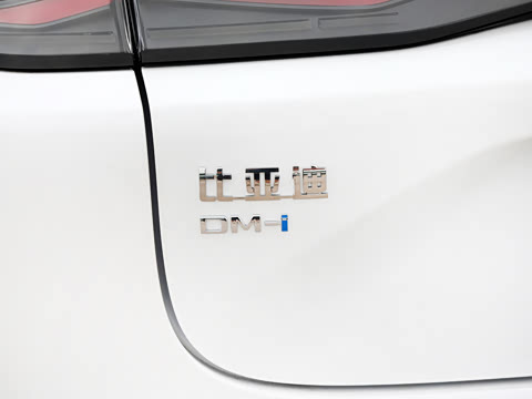 2026�� DM-i 320KM׿Խ��