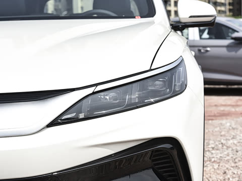 2026�� DM-i 220KM��Խ��