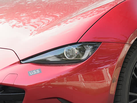 2025�� �ֶ��������� ī�����