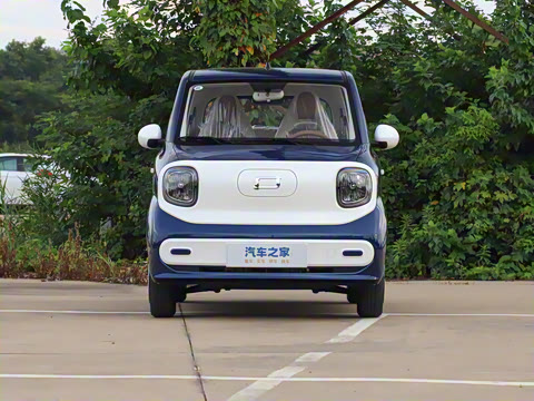 2026�� 222km �Ų���