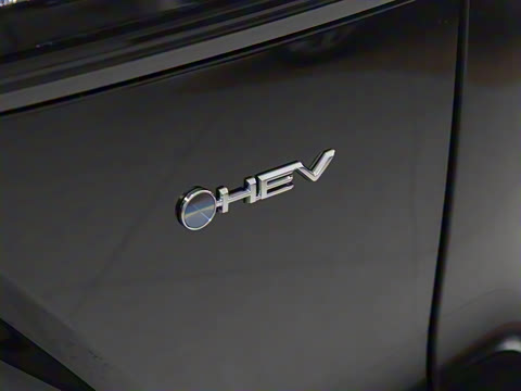 2026�� 2.0L ���ܵ��˫�� ���Ȱ�