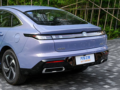 2026�� 1.5L �������� ������