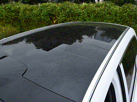 2026�� ���� Max������ 5��