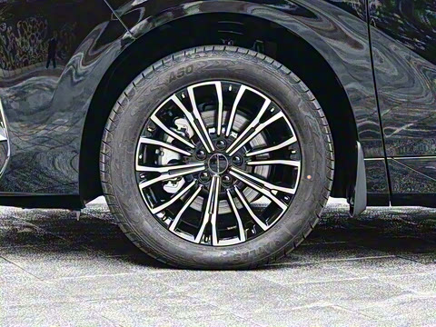 2026�� 200km ��������������¶Ӫ��